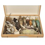 * Taxidermy. Collection of miscellaneous bird specimens, c.1875-1936