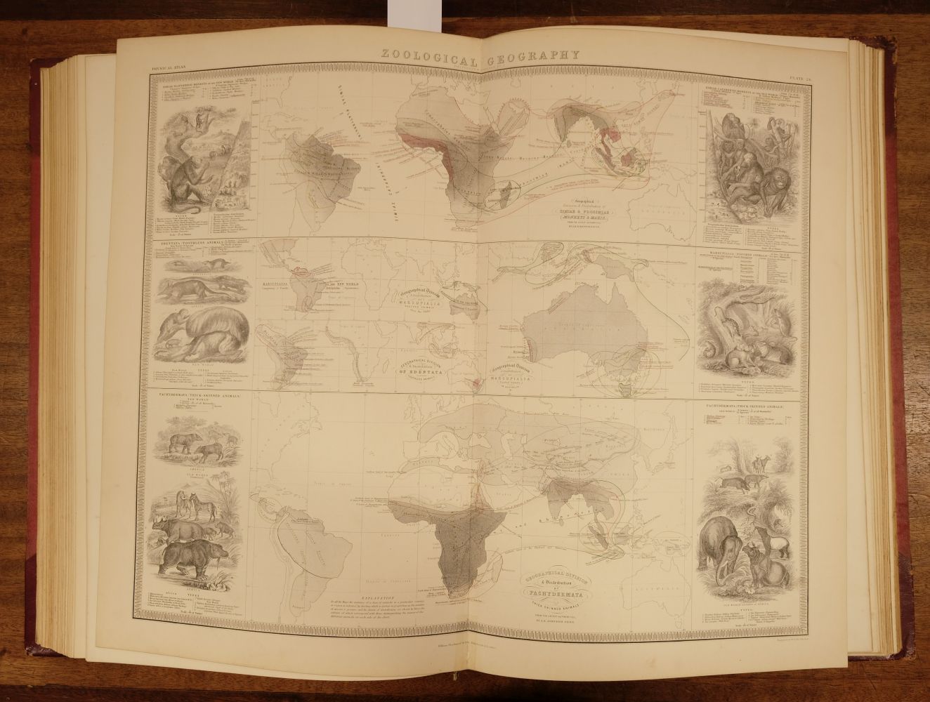 Johnston (A. K.). The Physical Atlas of Natural Phenomena, 1856 - Image 7 of 8