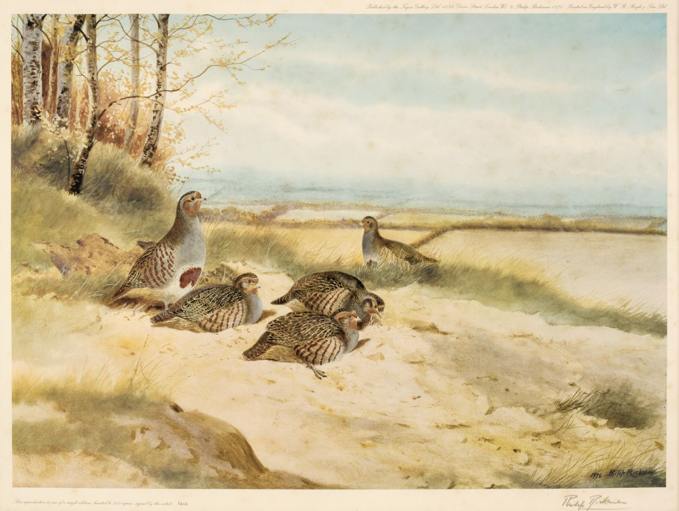 * Rickman (Philip). Grey Partridges & Woodcock in the Dunes, Tryon Gallery Ltd, 1978