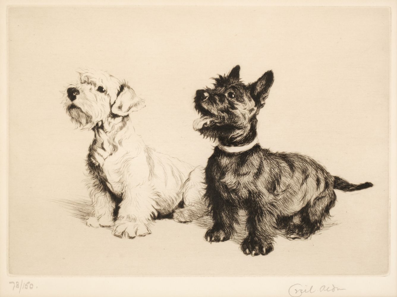 * Aldin (Cecil Charles Windsor, 1870 - 1935). What about a Walkie? Eyre & Spottiswoode Ltd