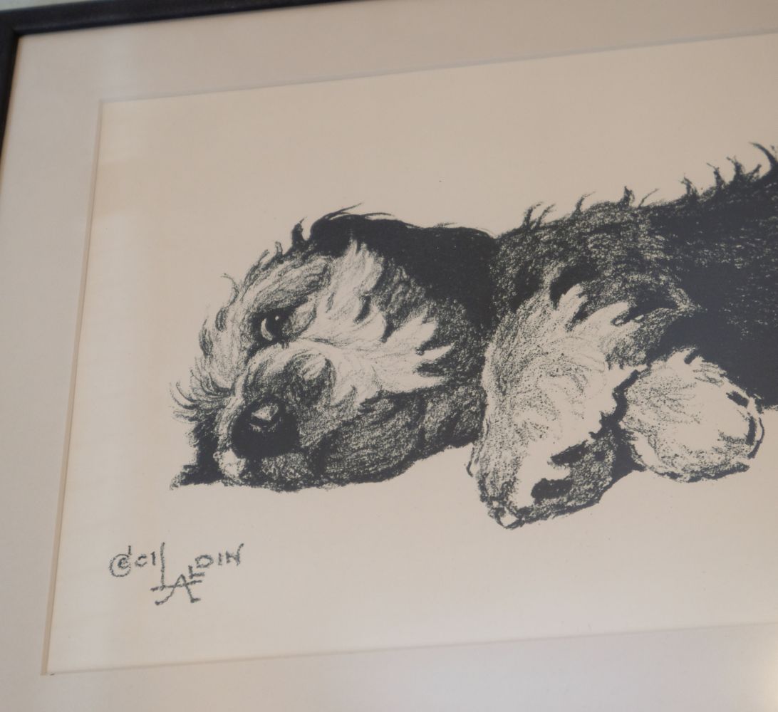 * Aldin (Cecil Charles Windsor, 1870 - 1935). Dandie Dinmont Puppy - Image 3 of 5