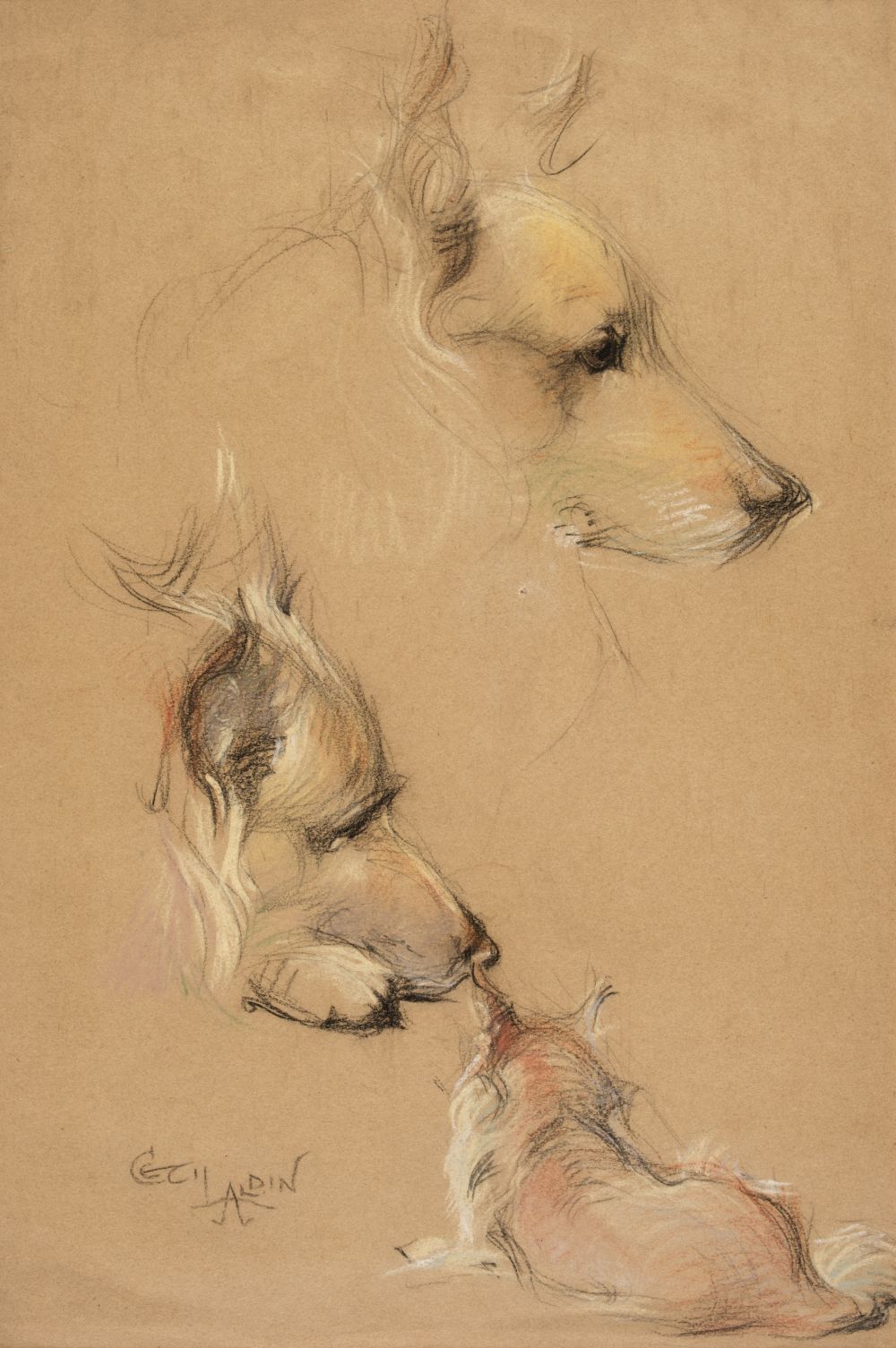 * Aldin (Cecil Charles Windsor, 1870 - 1935). Studies of a Collies head