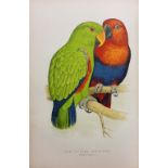 Natural History. A collection of 19th & 20th-century natural history & astronomy reference