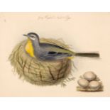 * Natural History. A mixed collection of approximately 275 prints & engravings, 19th century