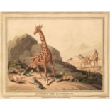 * Orme (Edward, publisher). Twelve hunting & sporting engravings, 1813