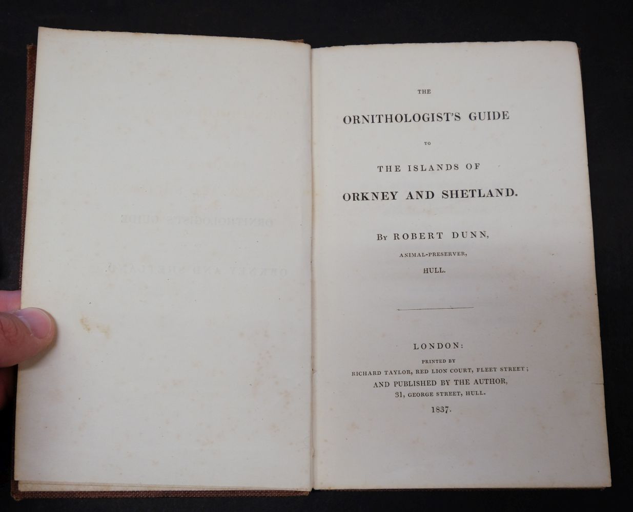 Dunn (Robert). Ornithologist's Guide to the Islands of Orkney and Shetland, 1837 - Image 6 of 11
