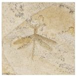 * Dragonfly. A fine fossil dragonfly