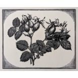 * Rawlinson (William Thomas). Sweet Briar, wood engraving