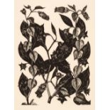 * Nash (John, 1893-1977). Yew Taxus Baccata Taxaceae, Illustration for ‘Poisonous Plants.