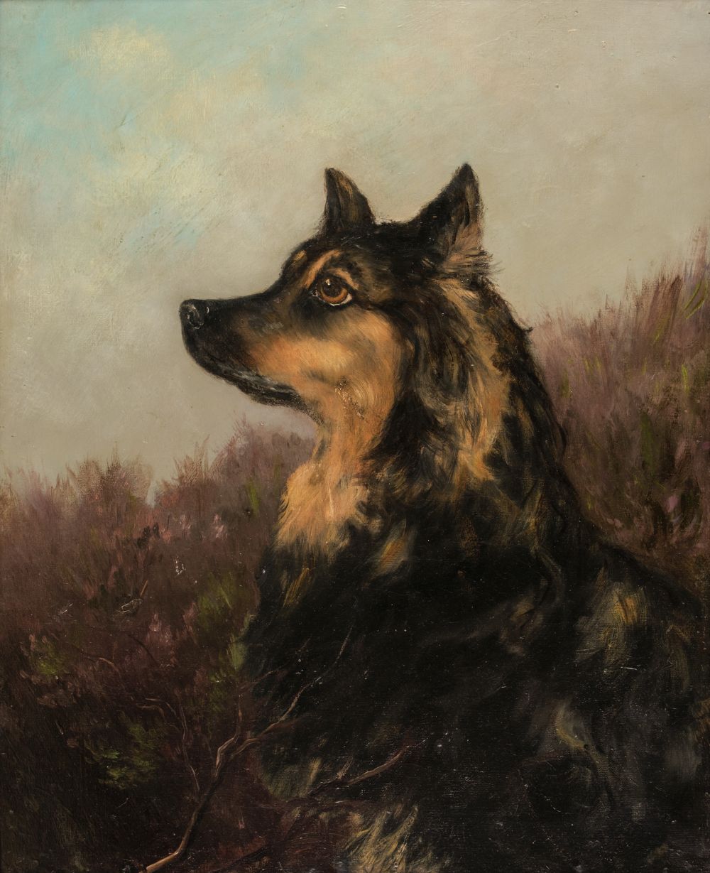 * Stevenson (William Grant, 1849-1919). Portrait of a collie dog in a landscape
