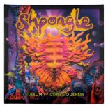 * Vinyl Records. Shpongle "Museum of Consciousness" Limited Edition LP with 3D Lenticular cover