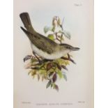 Natural History. A collection of mostly early 20th-century natural history reference