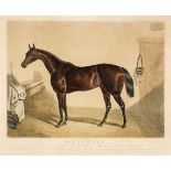 * Hunt (Charles). Beeswing. The Property of the late Mr Orde Esq. circa 1850
