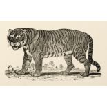 Bewick (Thomas). Figures of Lion, Tiger, Elephant, and Zebra, 1799