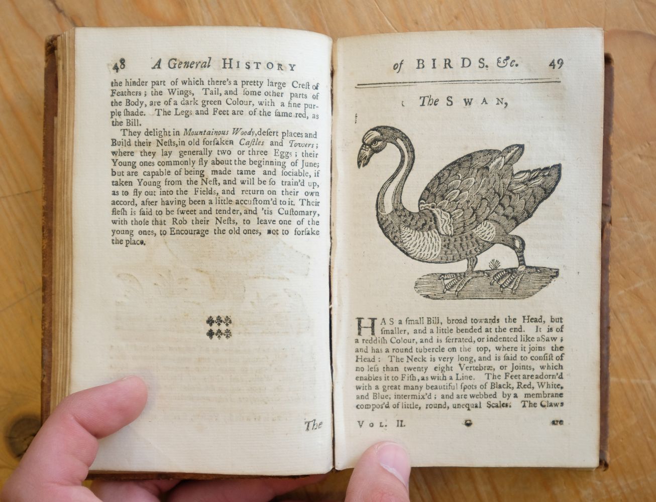 Ornithologia Nova. A New General History of Birds, vol. 1, & Ornithologia Nova, vol. 2, 1745 - Image 7 of 15