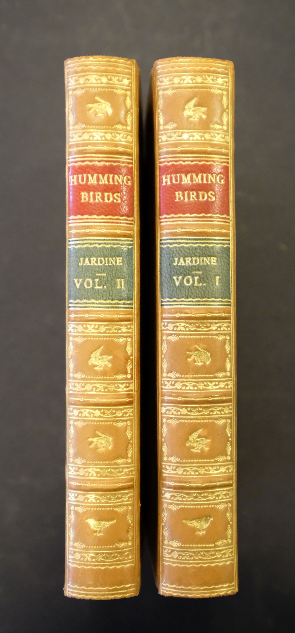 Jardine (William). The Natural History of Hummingbirds, - Image 3 of 12