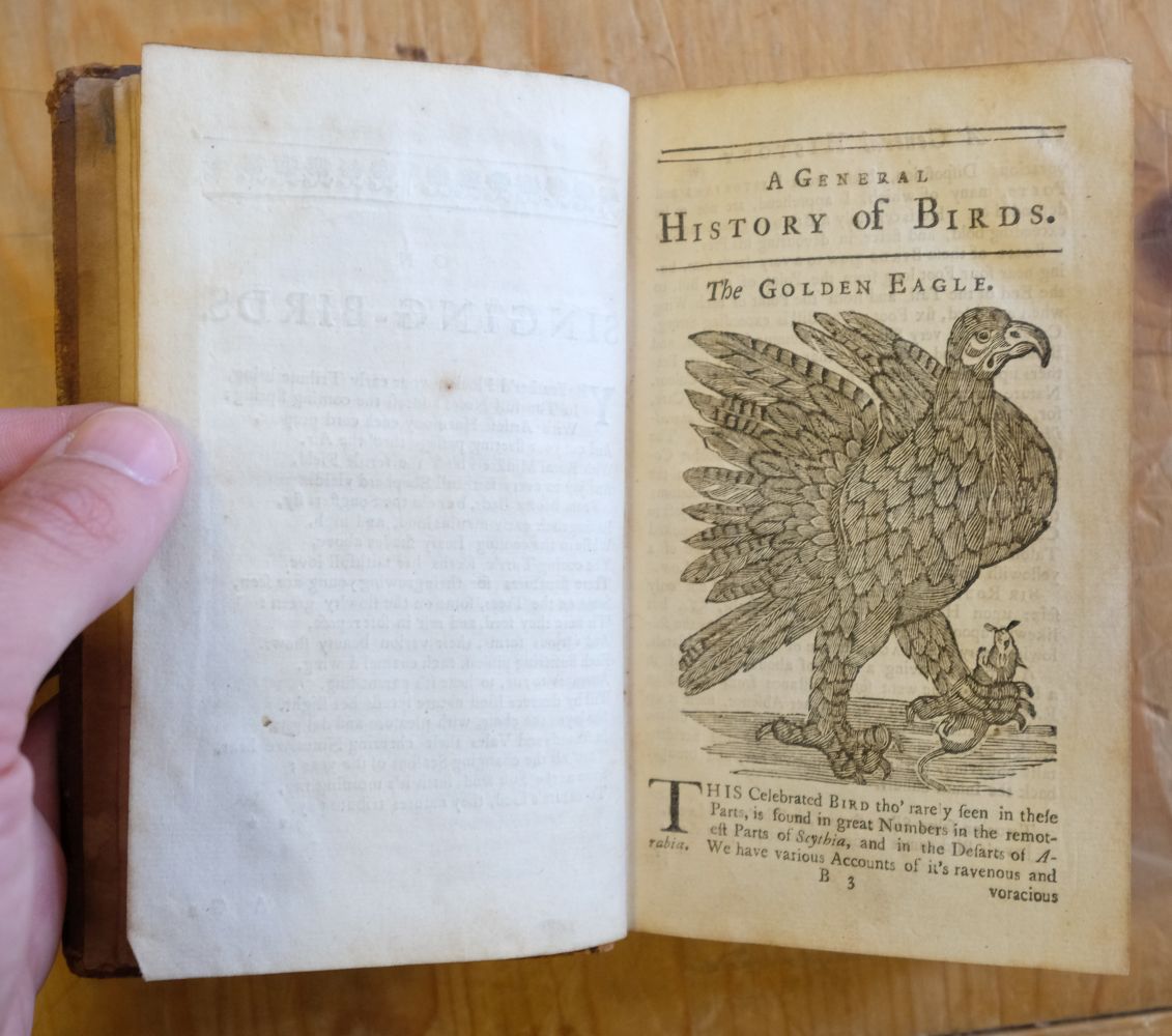 Ornithologia Nova. A New General History of Birds, vol. 1, & Ornithologia Nova, vol. 2, 1745 - Image 12 of 15
