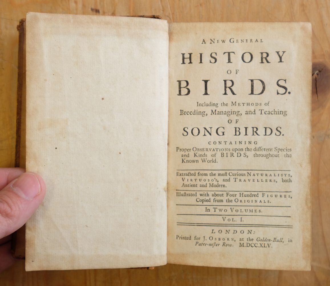 Ornithologia Nova. A New General History of Birds, vol. 1, & Ornithologia Nova, vol. 2, 1745 - Image 10 of 15