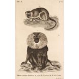 Pennant (Thomas). History of Quadrupeds, 2nd edition, 1781 and one other