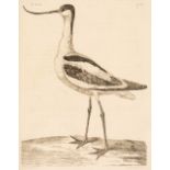 Pennant (Thomas). The British Zoology. Class I. Quadrupeds. II. Birds..., 1766