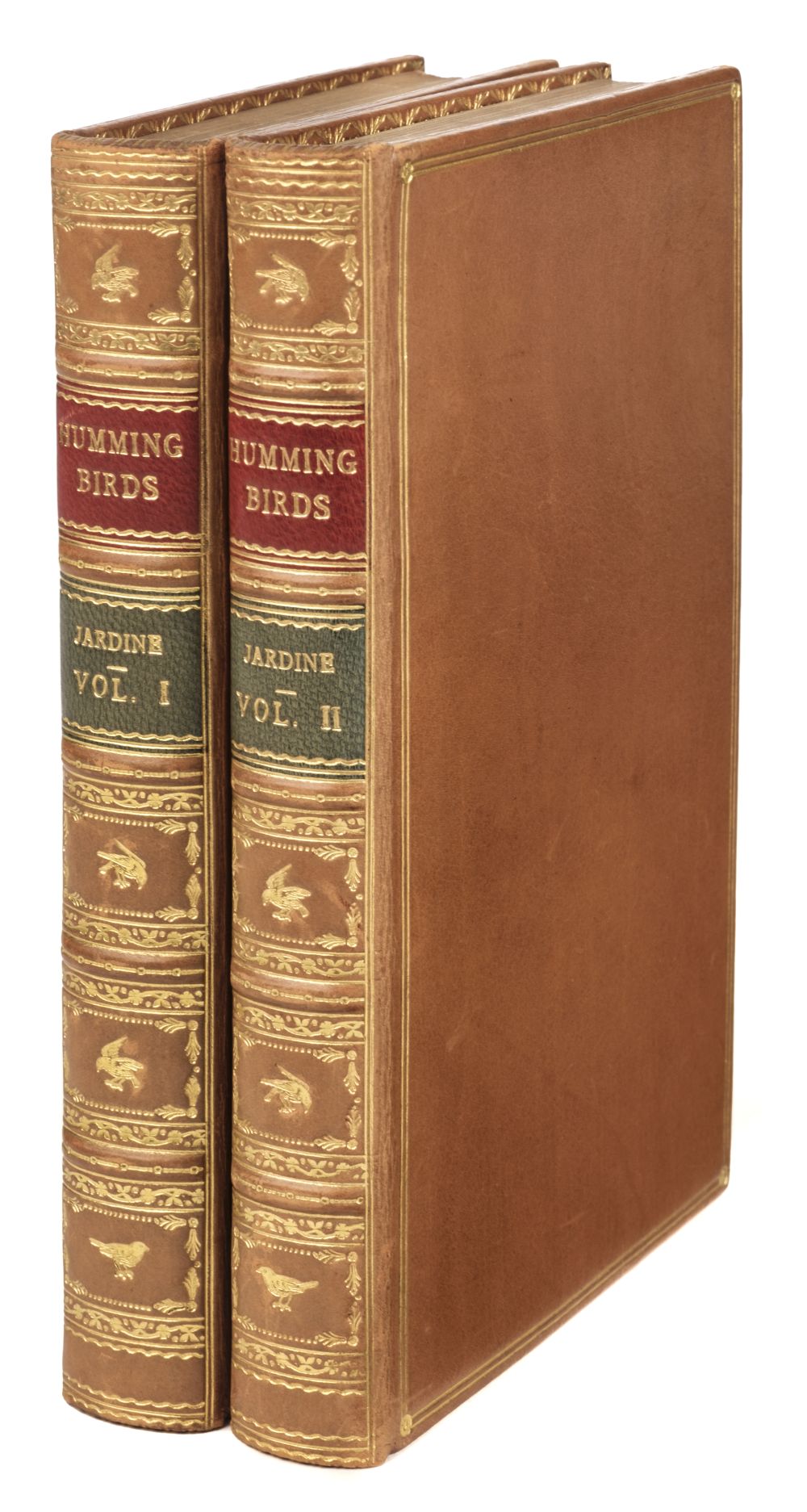 Jardine (William). The Natural History of Hummingbirds,