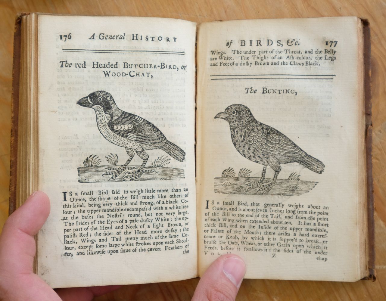 Ornithologia Nova. A New General History of Birds, vol. 1, & Ornithologia Nova, vol. 2, 1745 - Image 9 of 15