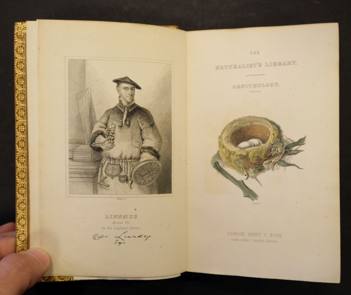 Jardine (William). The Natural History of Hummingbirds, - Image 9 of 12