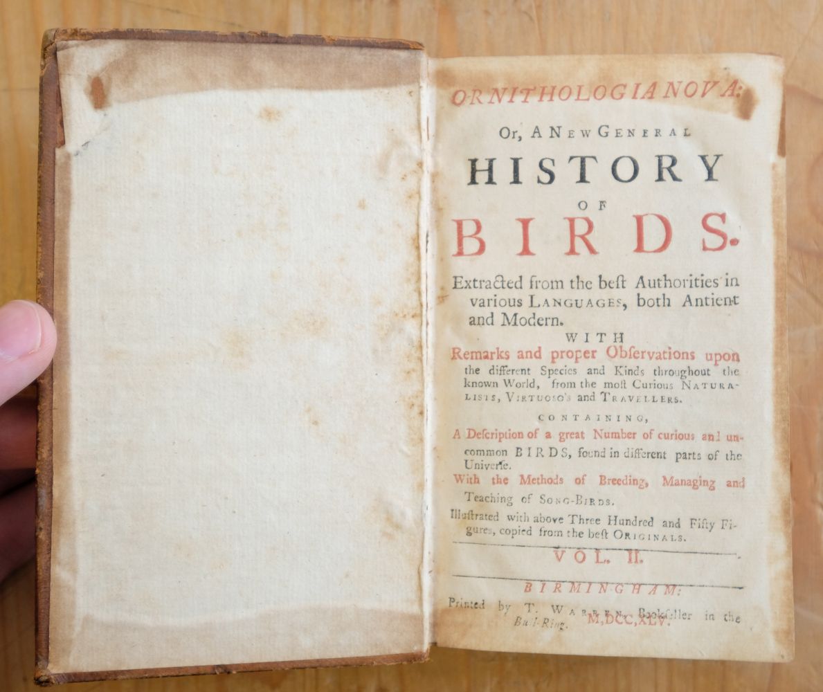 Ornithologia Nova. A New General History of Birds, vol. 1, & Ornithologia Nova, vol. 2, 1745 - Image 5 of 15