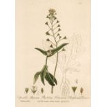 Baxter (William). British Phaenogamus Botany, 2nd edition, 1834-43