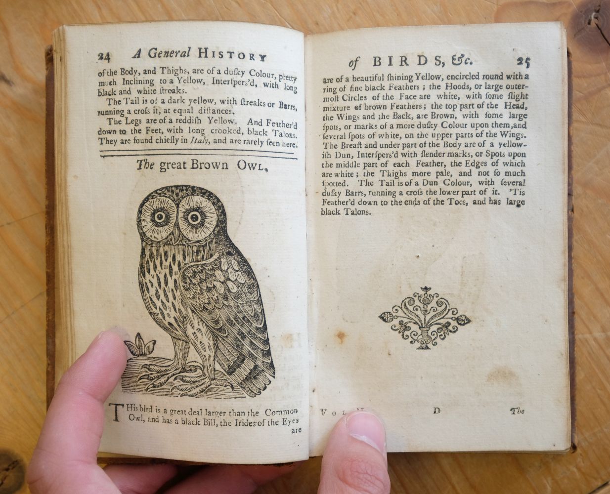 Ornithologia Nova. A New General History of Birds, vol. 1, & Ornithologia Nova, vol. 2, 1745 - Image 6 of 15