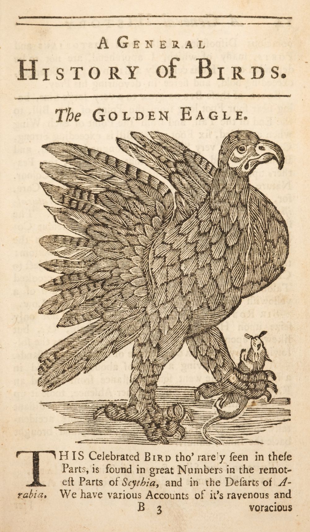 Ornithologia Nova. A New General History of Birds, vol. 1, & Ornithologia Nova, vol. 2, 1745