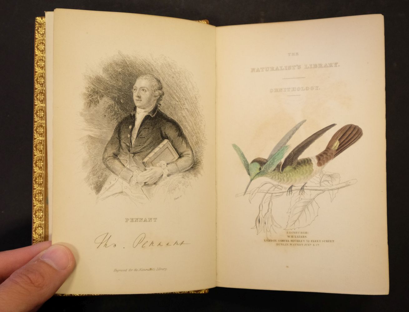 Jardine (William). The Natural History of Hummingbirds, - Image 6 of 12