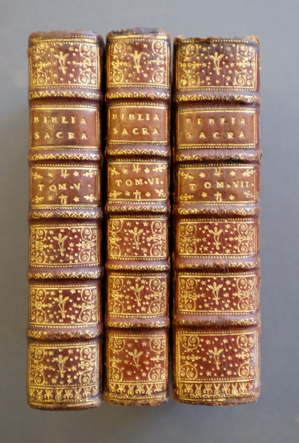 Bible [Latin]. Biblia Sacra vulgatae editionis, 7 vols., Paris: Fredericum Leonard, 1705 - Image 7 of 15