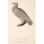 Bewick (Thomas). British Land Birds/Water Birds/Quadrupeds, 1824-25