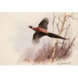 * McPhail (Roger). Six watercolours of Gamebirds, late 20th century