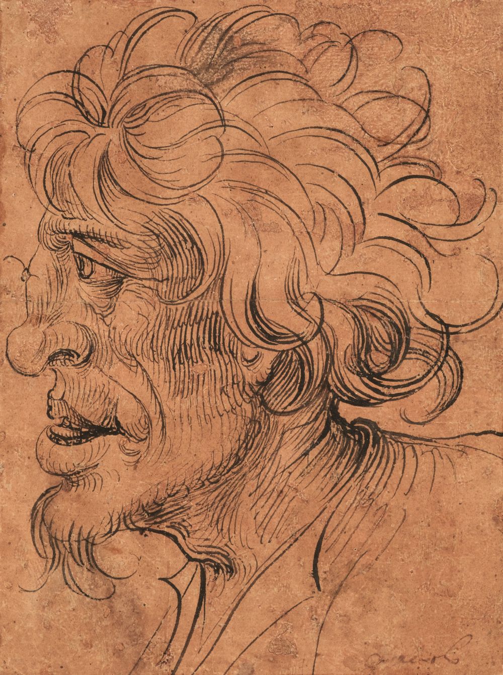 * German School. Head of a Wild Man, first half 16th century