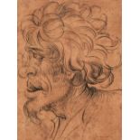 * German School. Head of a Wild Man, first half 16th century