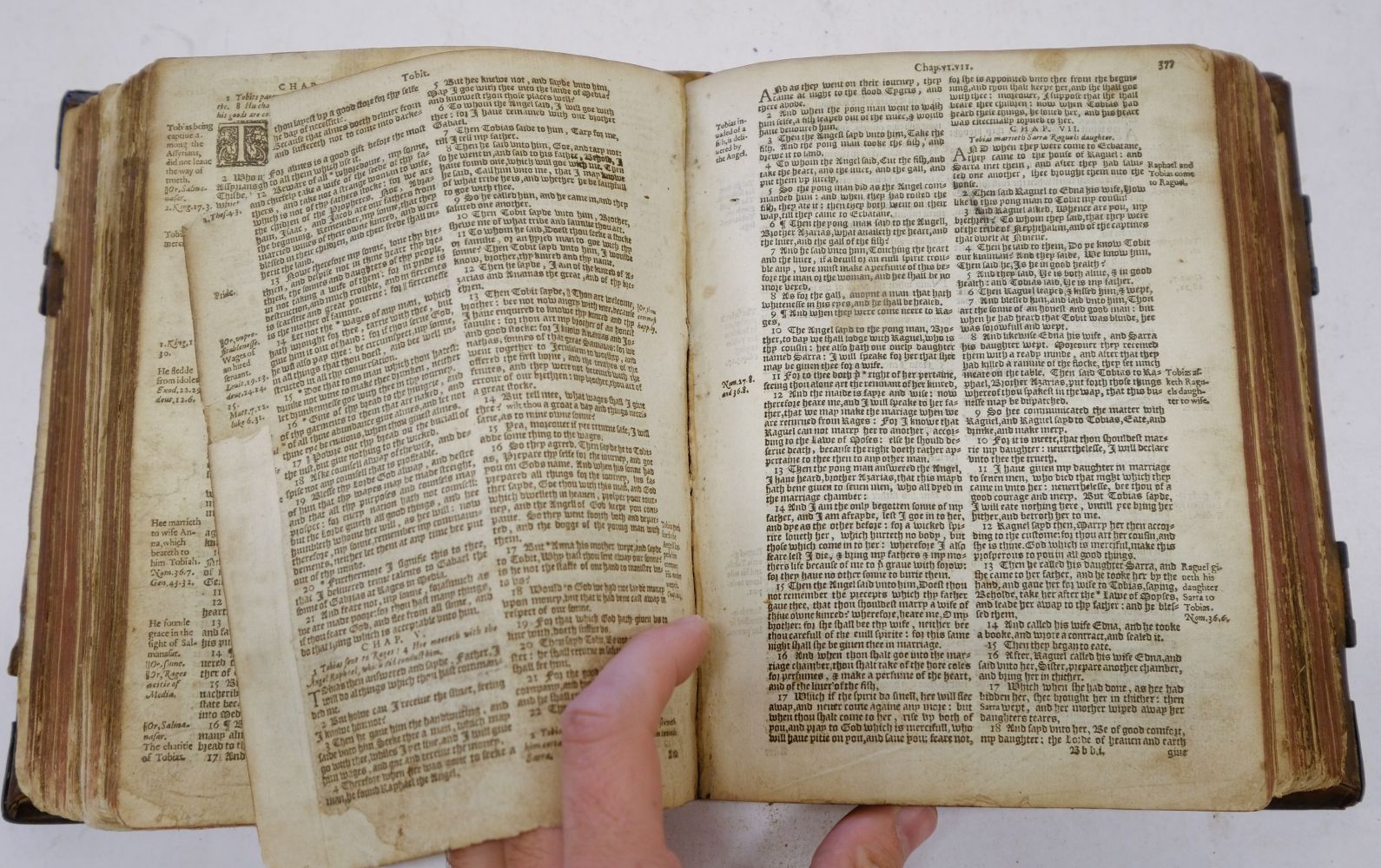 Bible [English]. The Bible. Translated according to the Ebrew and Greeke, 1589 - Image 11 of 14