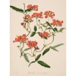 Paxton (Sir Joseph). A collection of approximately 105 botanical engravings, 1834 - 49