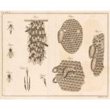 Wildman (Thomas). A Treatise on the Management of Bees..., 1768