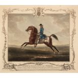Houston (Richard). Four Portraits of 'Celebrated Racehorses', 1755 - 76 but later impressions