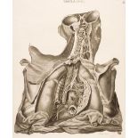 Anatomy. Caldani (Leopoldo M. A.), 43 engraved plates, circa 1813