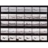 Black & White Negatives. A collection of over 9,000 high quality 35mm black & white negatives