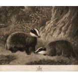 Turner (Charles). Badgers, C. Turner, 1815