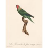Natural History. A collection of approximately 150 prints, 18th & 19th century