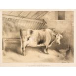 Ducote (A.). Durham Ox. Fed by the Earl of Liverpool..., 1840