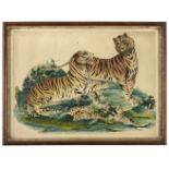 Indian School. Tigers, circa 1840, watercolour