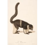 Natural History. A mixed collection of approximately 125 prints & engravings, 18th & 19th century