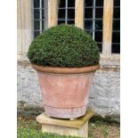 A SET OF THREE TERRACOTTA PLANTERS