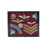A FRAME OF AIRBORNE INSIGNIA